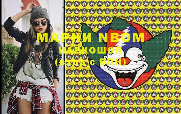 гашик Вяземский