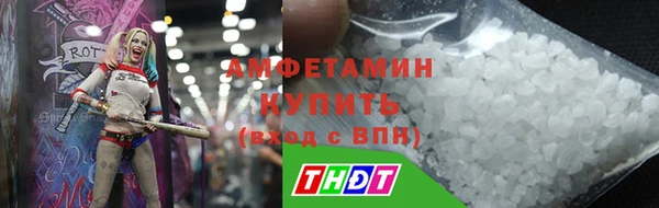 гашик Вяземский
