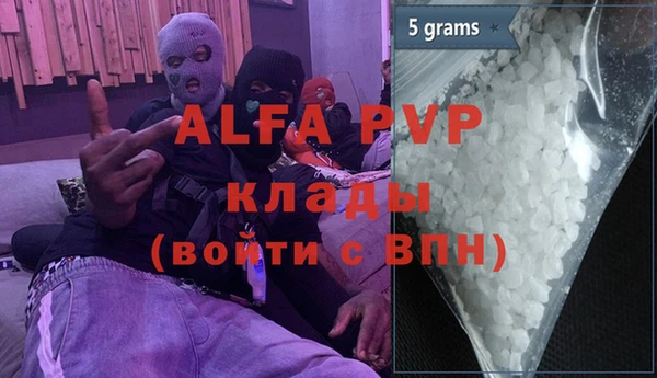 гашик Вяземский