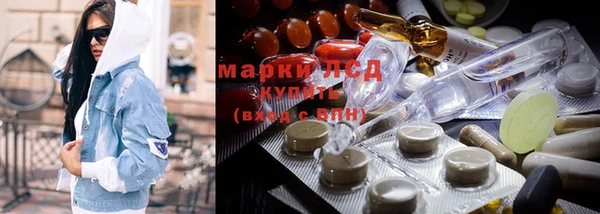 гашик Вяземский