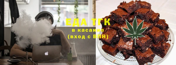 гашик Вяземский
