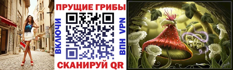 купить наркотик  Кологрив  Псилоцибиновые грибы ЛСД 